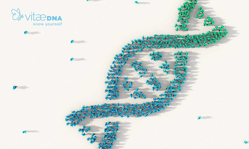 Persone formano un simbolo di doppia elica del DNA con marchio VitaeDNA e slogan know yourself su sfondo bianco.